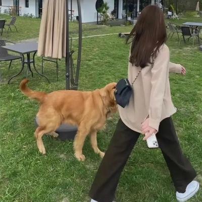 米花之味
